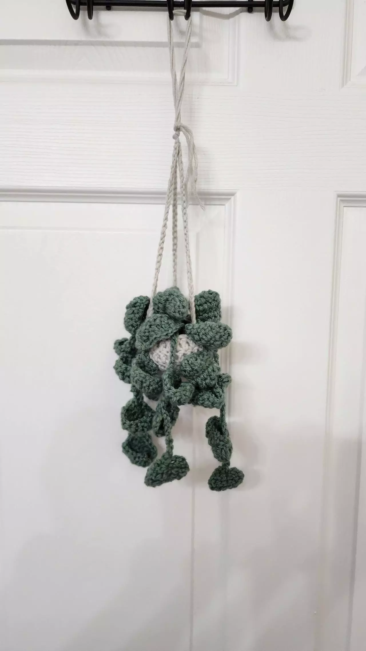 plant/Forever Plants-0