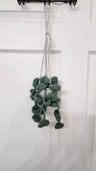 plant/Forever Plants-0-thumbnail