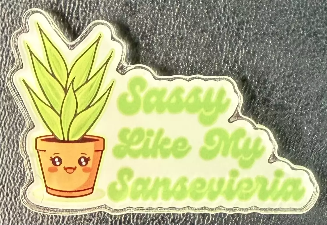 plant/Sassy Like My Sanseveria magnet-0