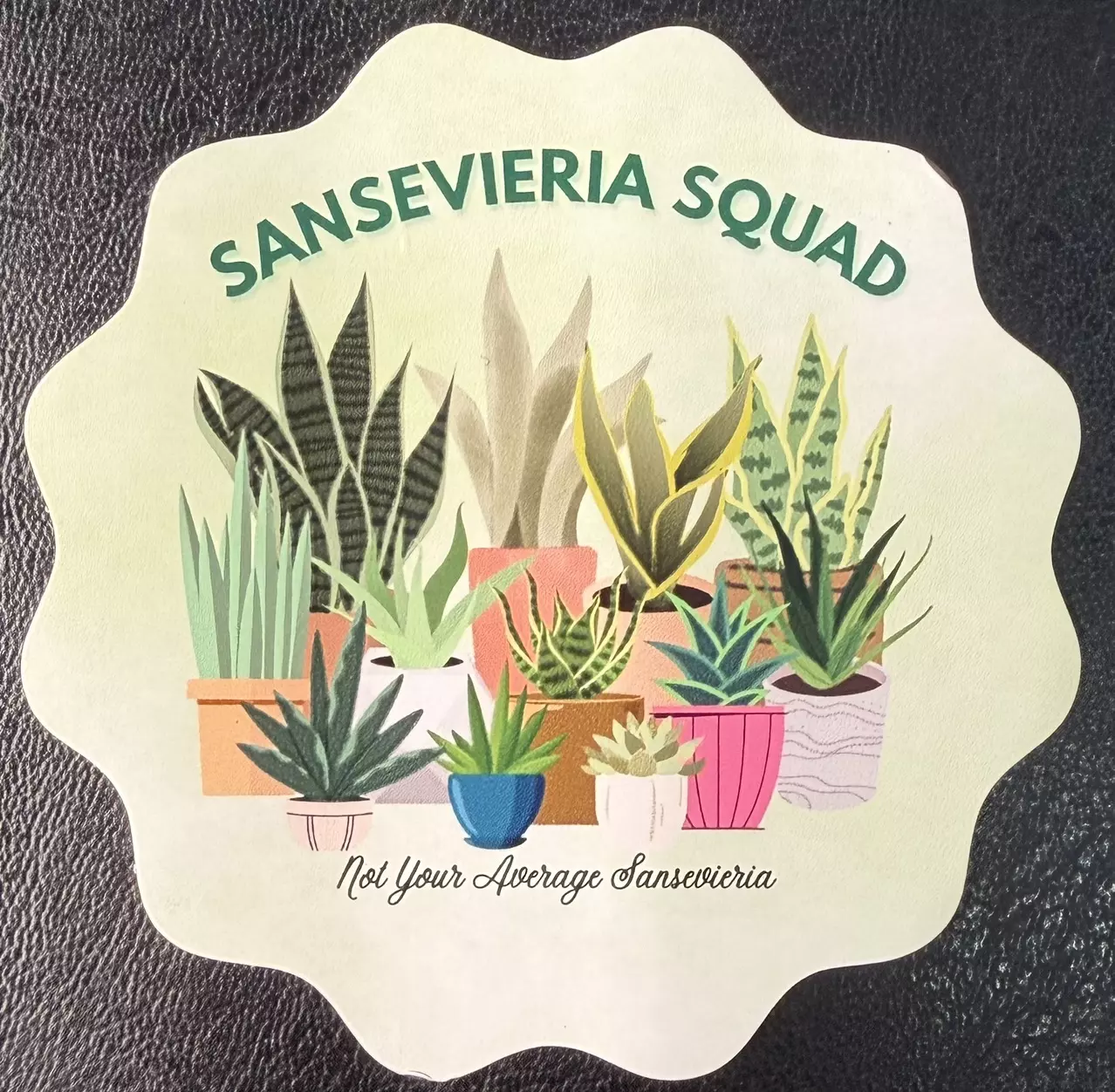 plant/Sansevieria Squad magnet-0