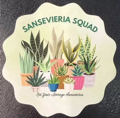 plant/Sansevieria Squad magnet-0-thumbnail
