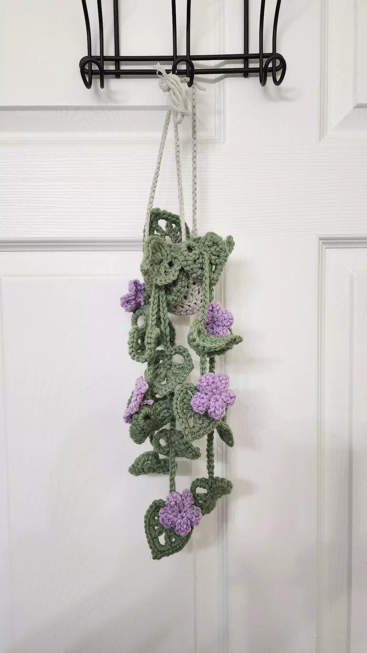 plant/Forever Plants-0