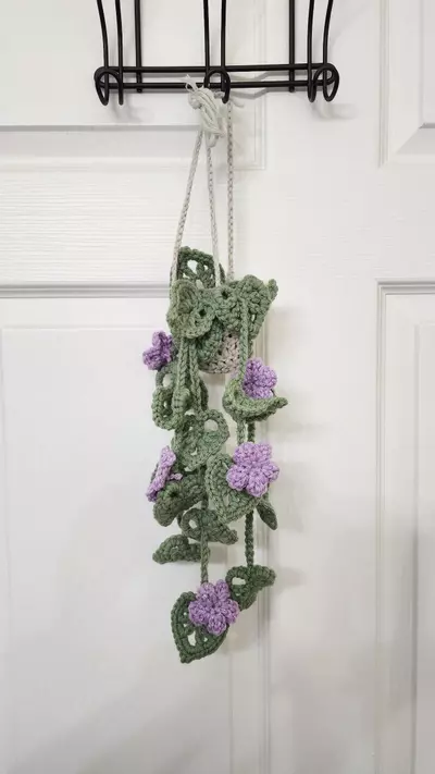 plant/Forever Plants-0-thumbnail