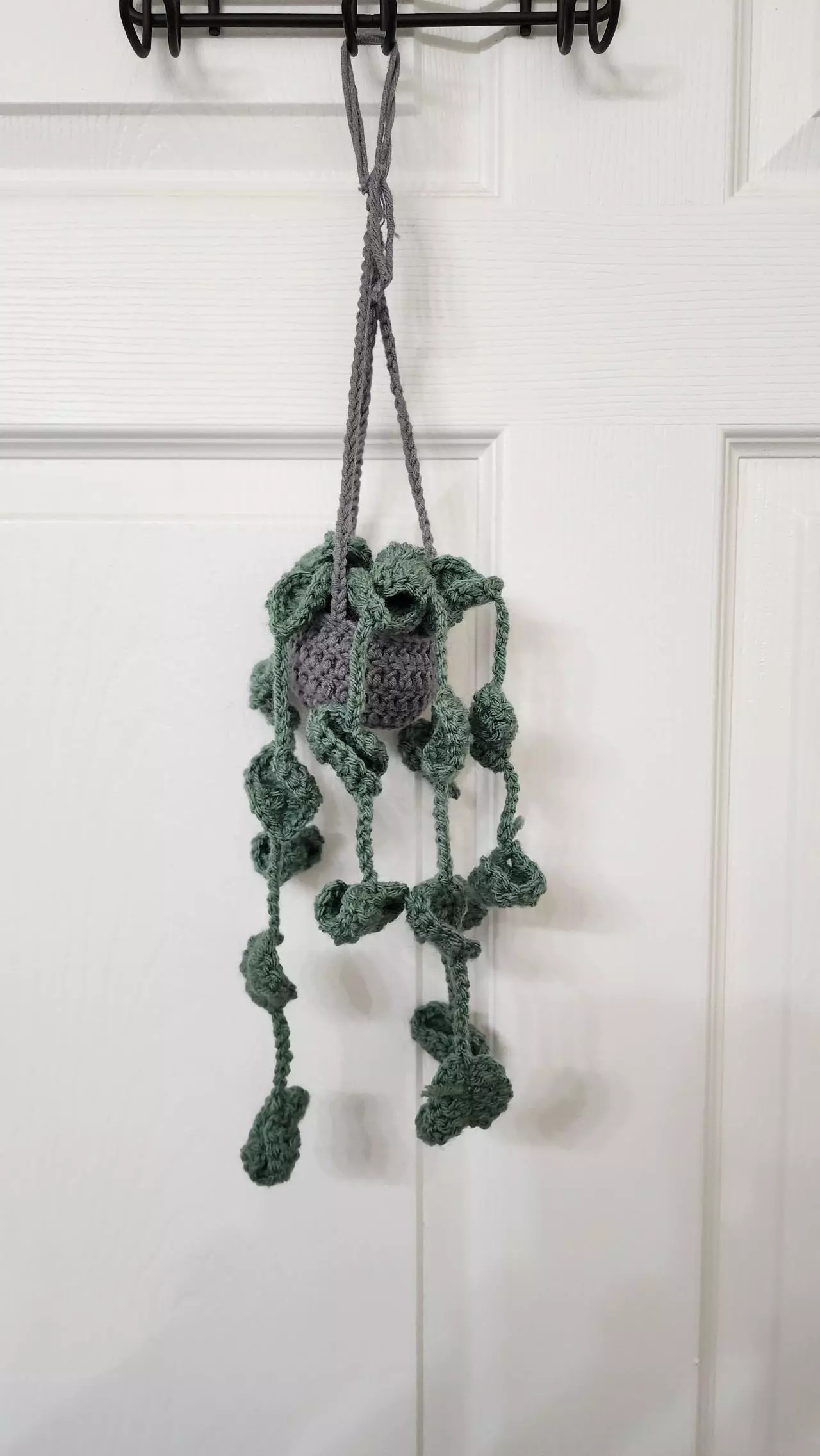 plant/Forever Plants-0