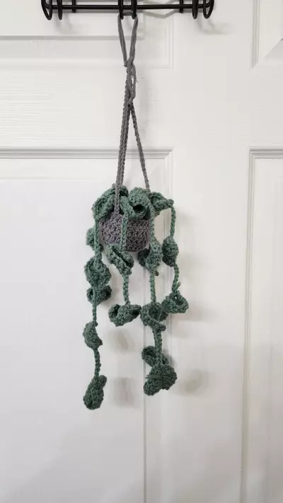 plant/Forever Plants-0-thumbnail