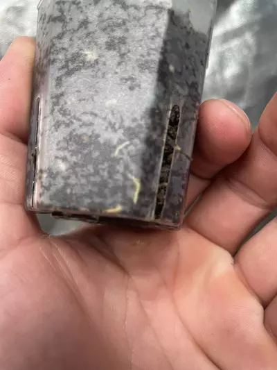 plant/Hoya Pubicalyx Pink Silver Ghost (1)-3-thumbnail