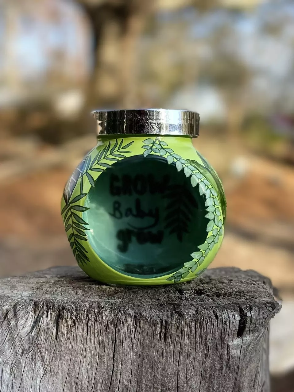 plant/Hand painted prop jar/trinket jar/ with lid-0