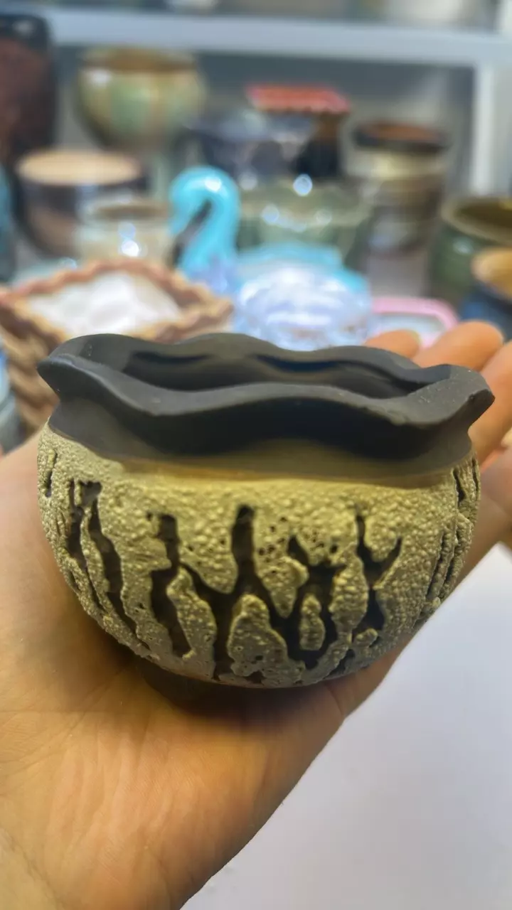 plant/Rustic pot with trunk pattern-0