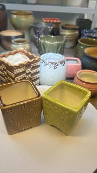 plant/No.59 Square pot combo-0-thumbnail