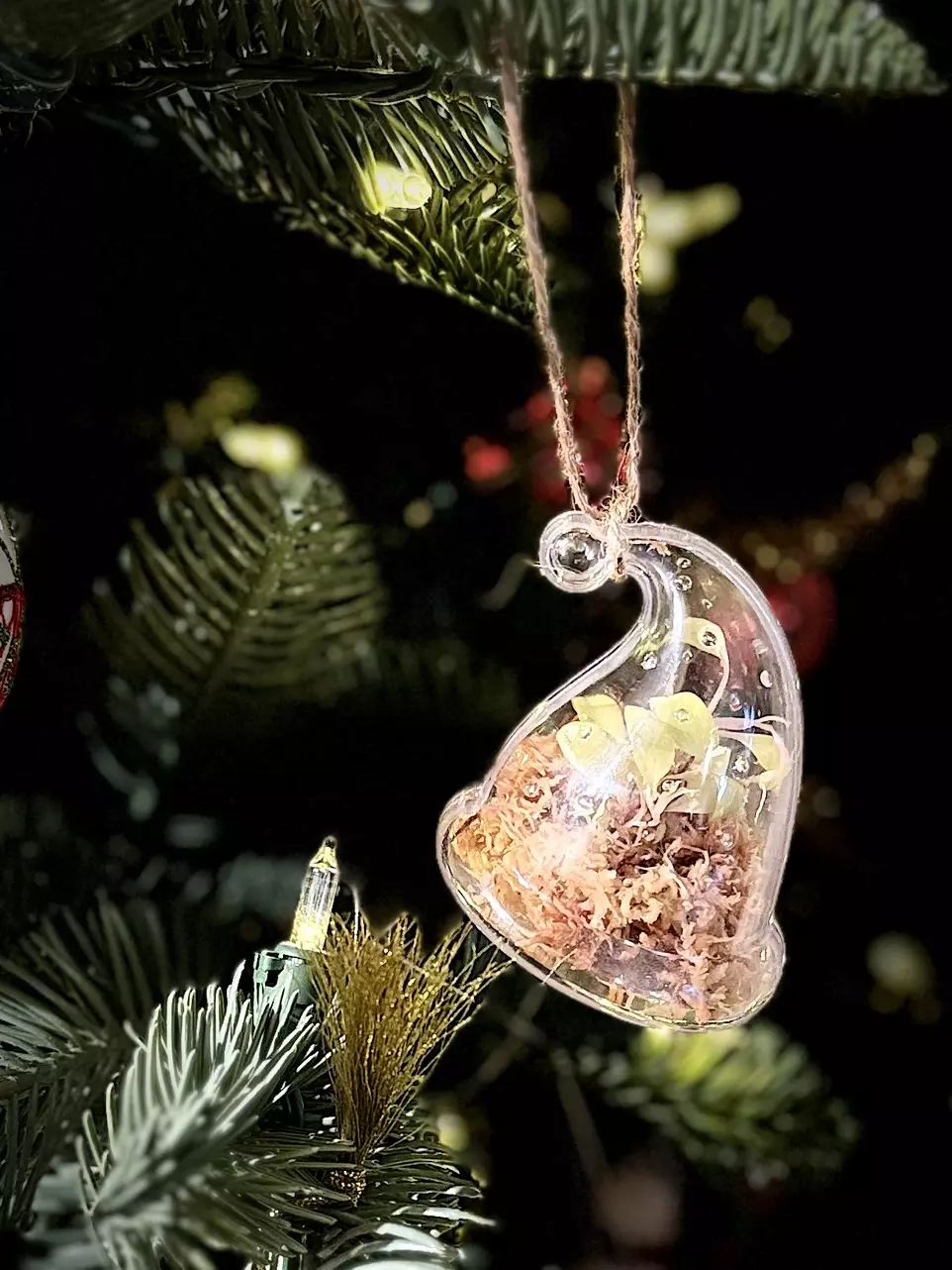 plant/Santa Hat Prop Ornament-0