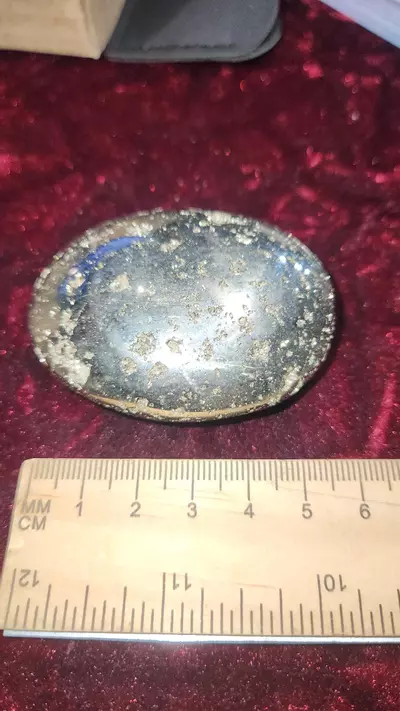 plant/Pyrite Palm Stone-1-thumbnail
