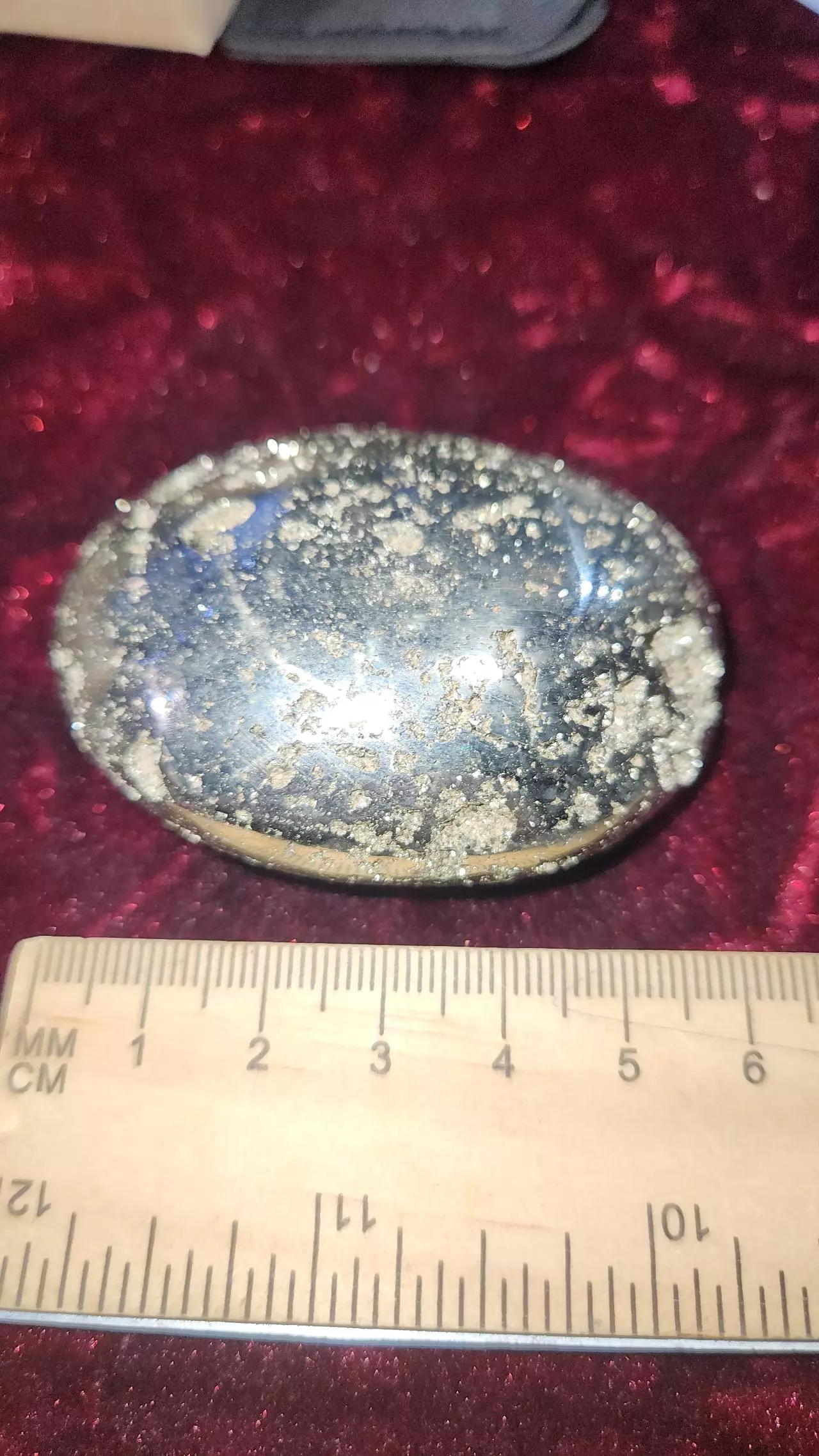 plant/Pyrite Palm Stone-0