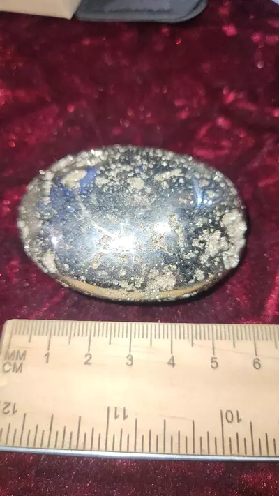 plant/Pyrite Palm Stone-0-thumbnail