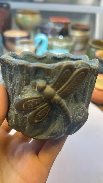 plant/Cute pot with dragonfly-0-thumbnail