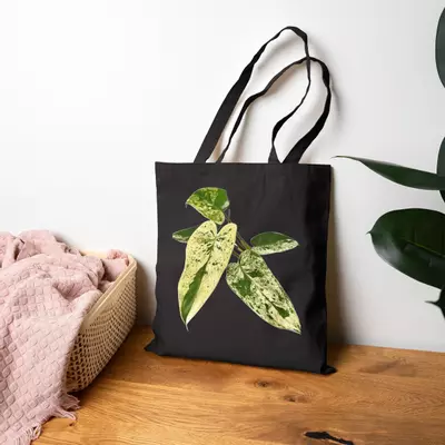 plant/Philodendron ilsemanii Canvas Tote Bag-0-thumbnail