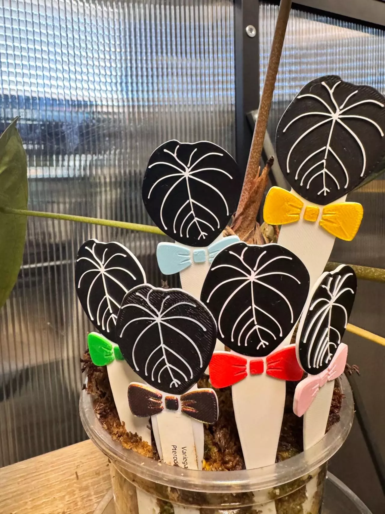 plant/Bowtie Plant Tag x1-0