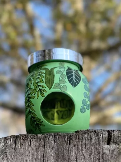 plant/Hand painted prop jar/or trinket jar/ with lid-4-thumbnail