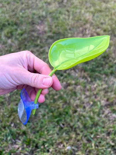 plant/Gecko Seat x 3 pack-0-thumbnail