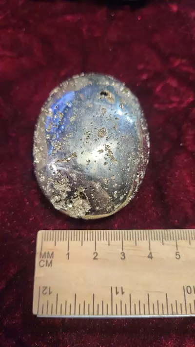 plant/Pyrite Palm Stone-2-thumbnail