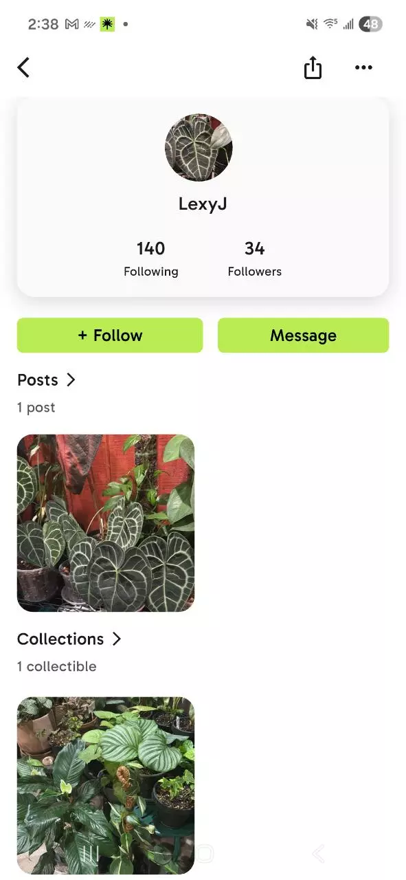 plant/Listing for LexyJ-0