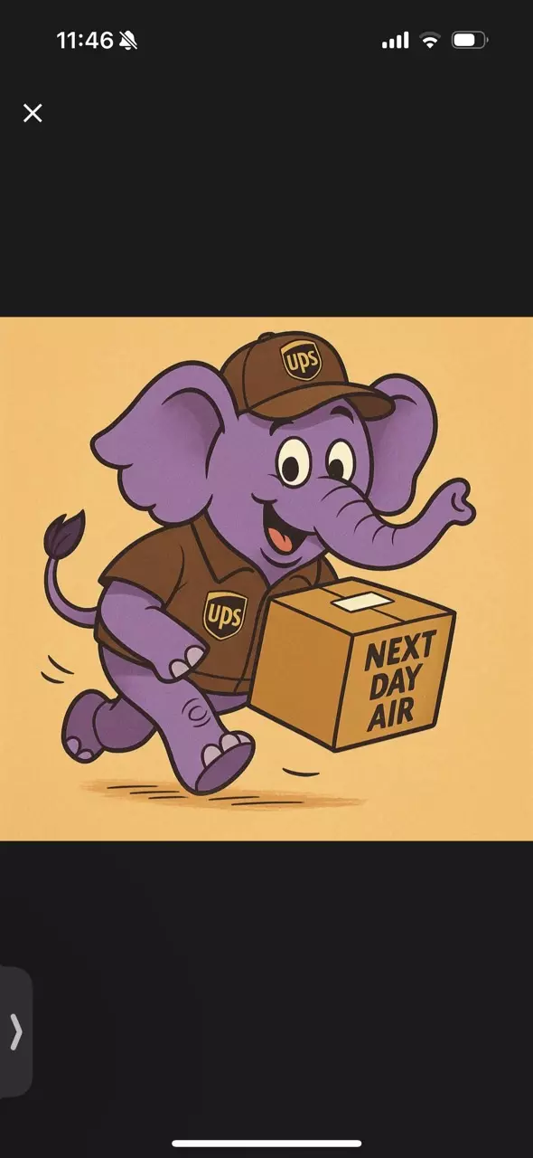 plant/Next day air small box-0