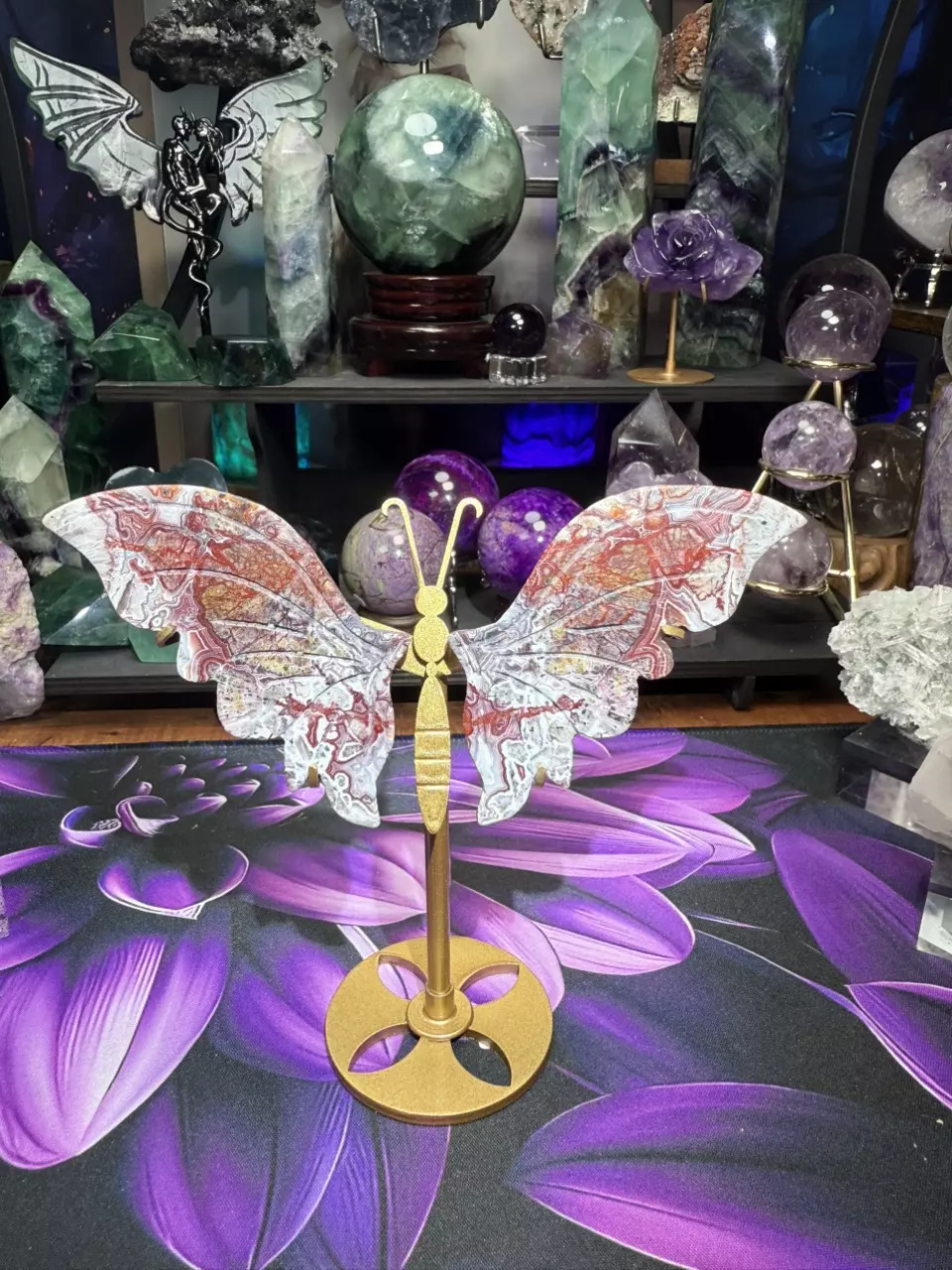 plant/Crazy Lace Agate dragonfly wings with custom holder hand carved-0