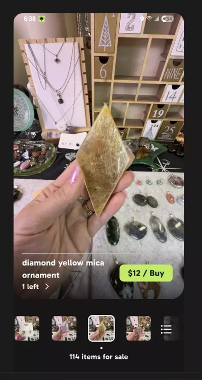 plant/stephie - use 25% off-0-thumbnail