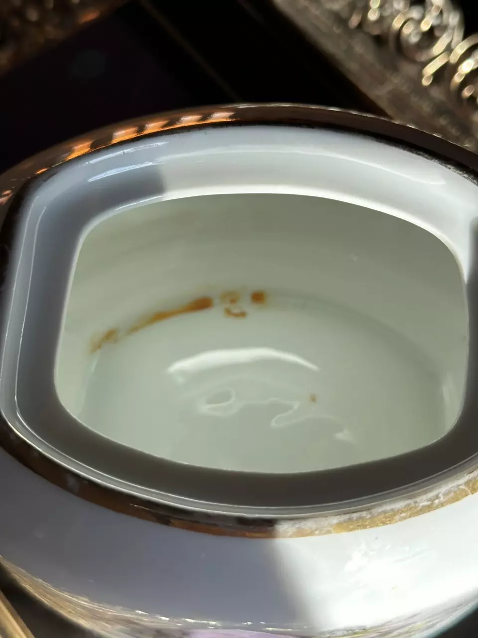 plant/German Sugar Bowl + Stainless Bundle-5