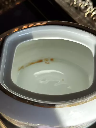 plant/German Sugar Bowl + Stainless Bundle-5-thumbnail