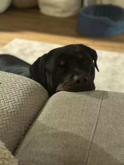 insulation/Extra Insulation-0-thumbnail