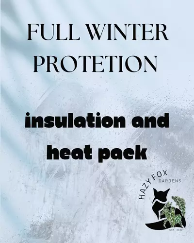 insulation/Full Winter Protection (insulation and heat pack)-0-thumbnail
