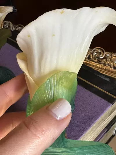 plant/Calla Lily Pair-3-thumbnail