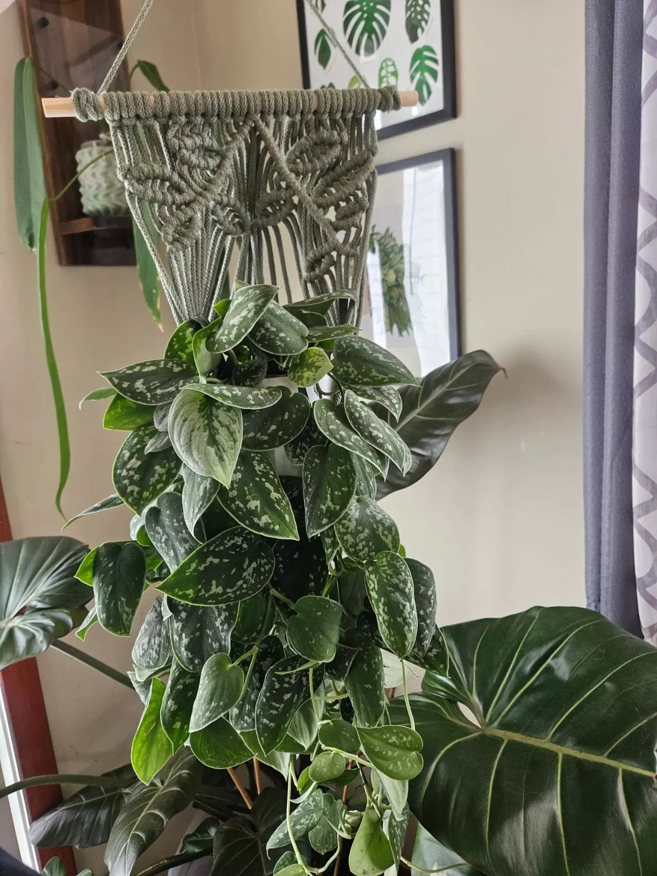 plant/5mm vine pattern macrame plant hanger in stock-0