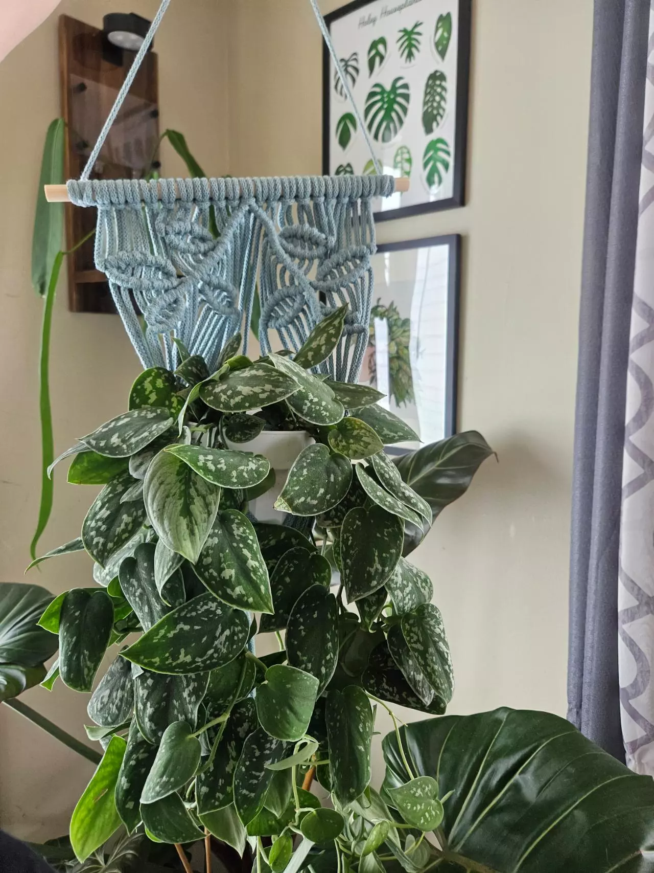 plant/5mm vine pattern macrame plant hanger in stock-1