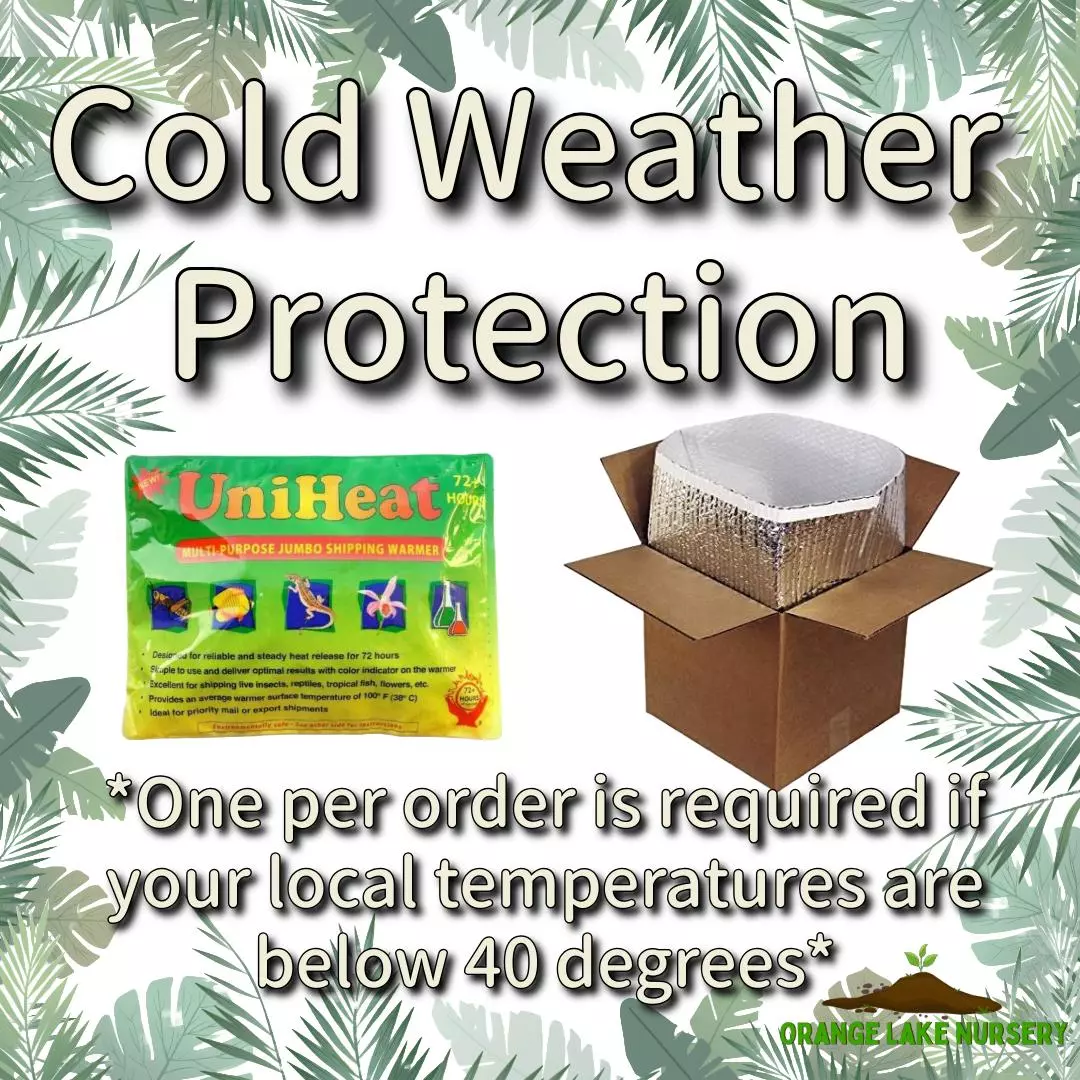 plant/Cold Weather Protection-0