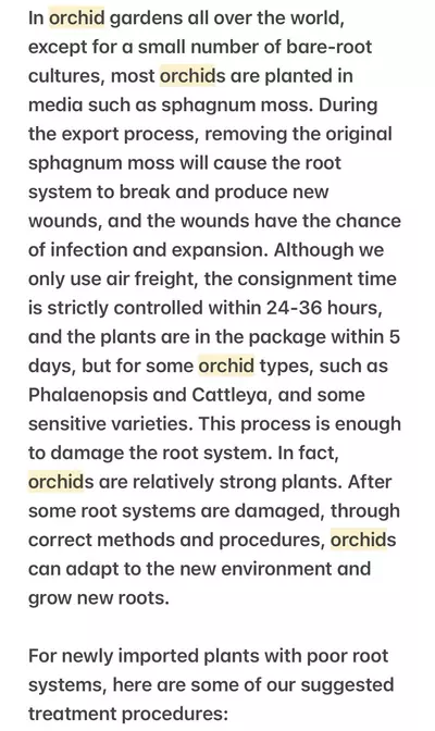 plant/Vanda Tango Fire Yellow Star- mounted orchid plant-6-thumbnail