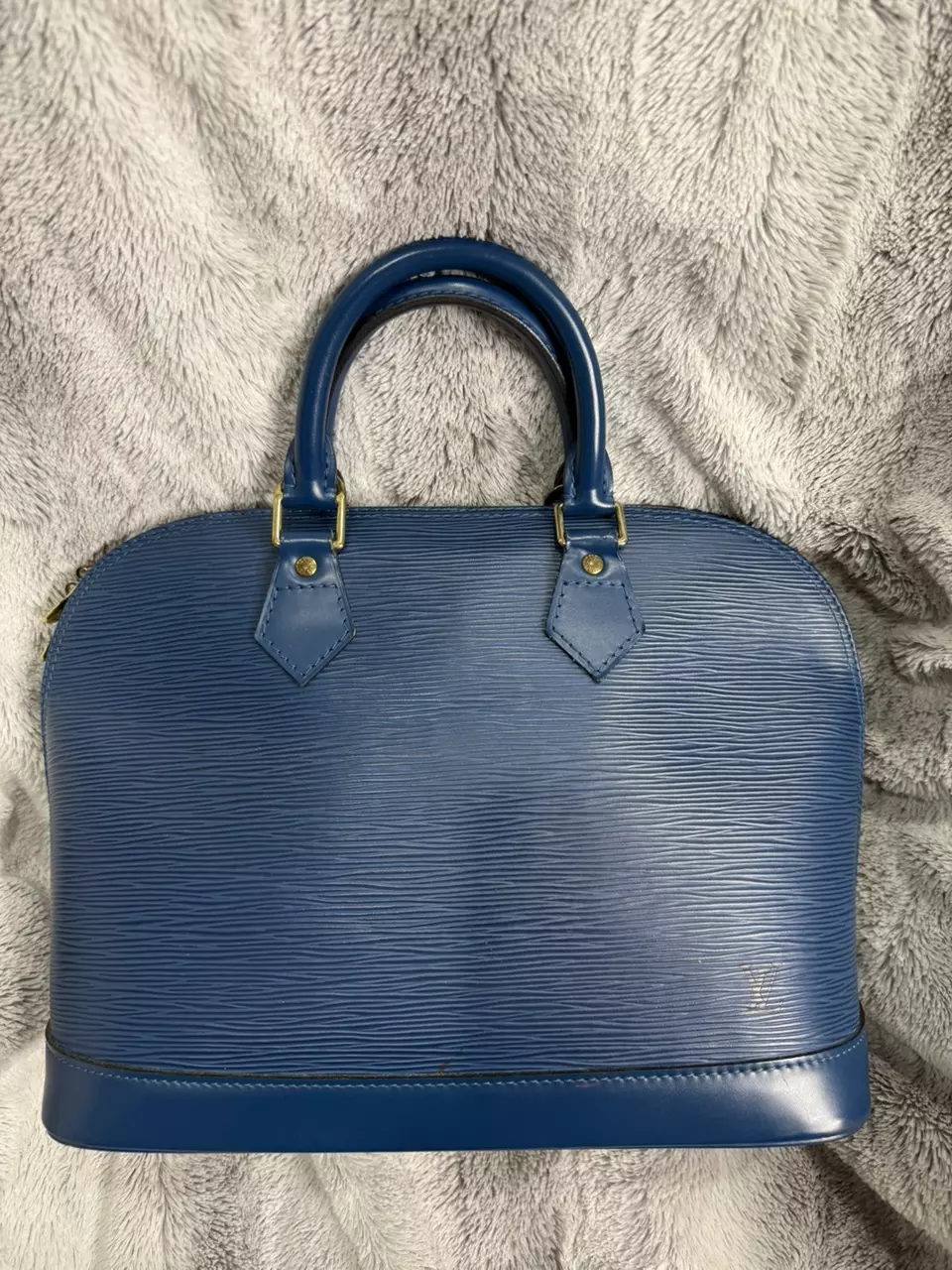 plant/Louis Vuitton epi Alma-0
