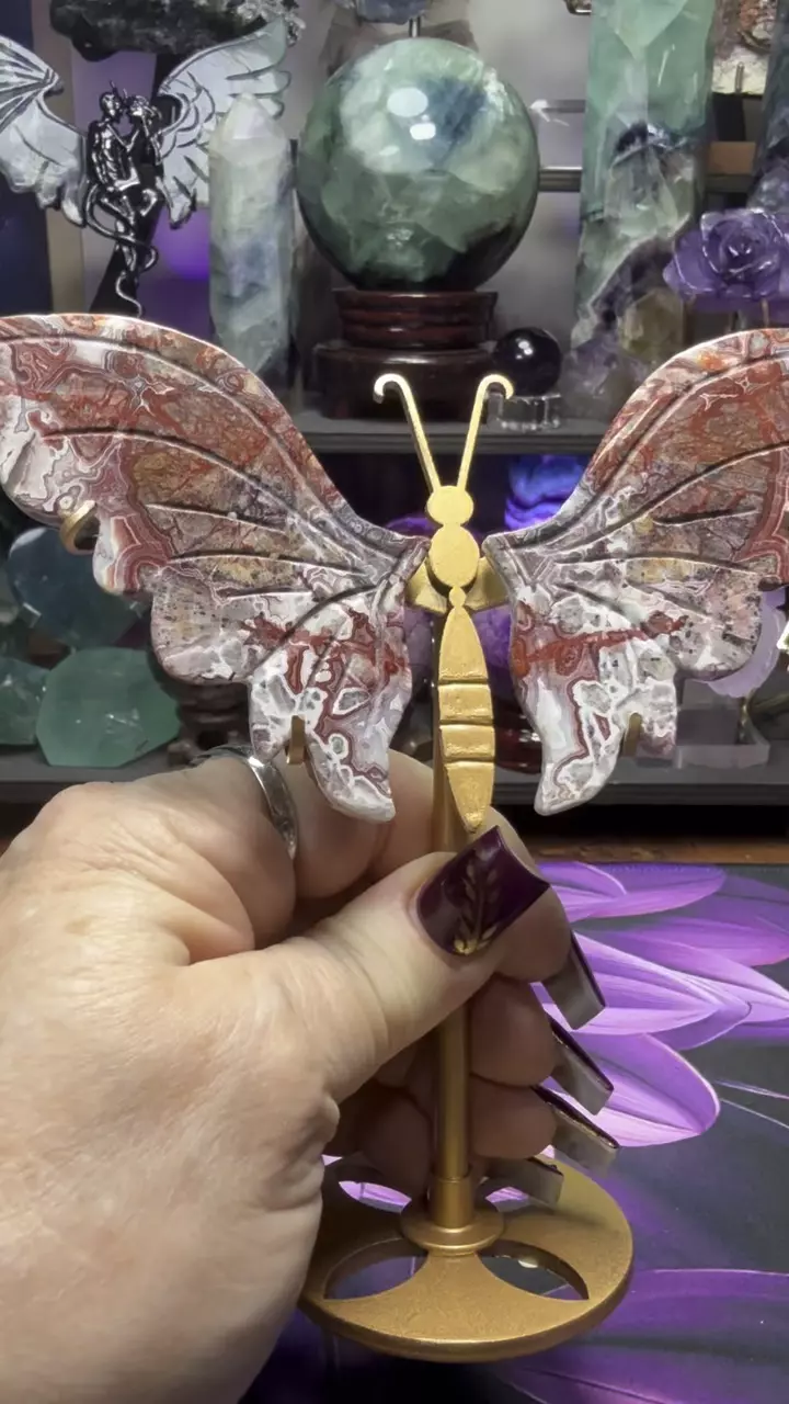 plant/Crazy Lace Agate dragonfly wings with custom holder hand carved-1