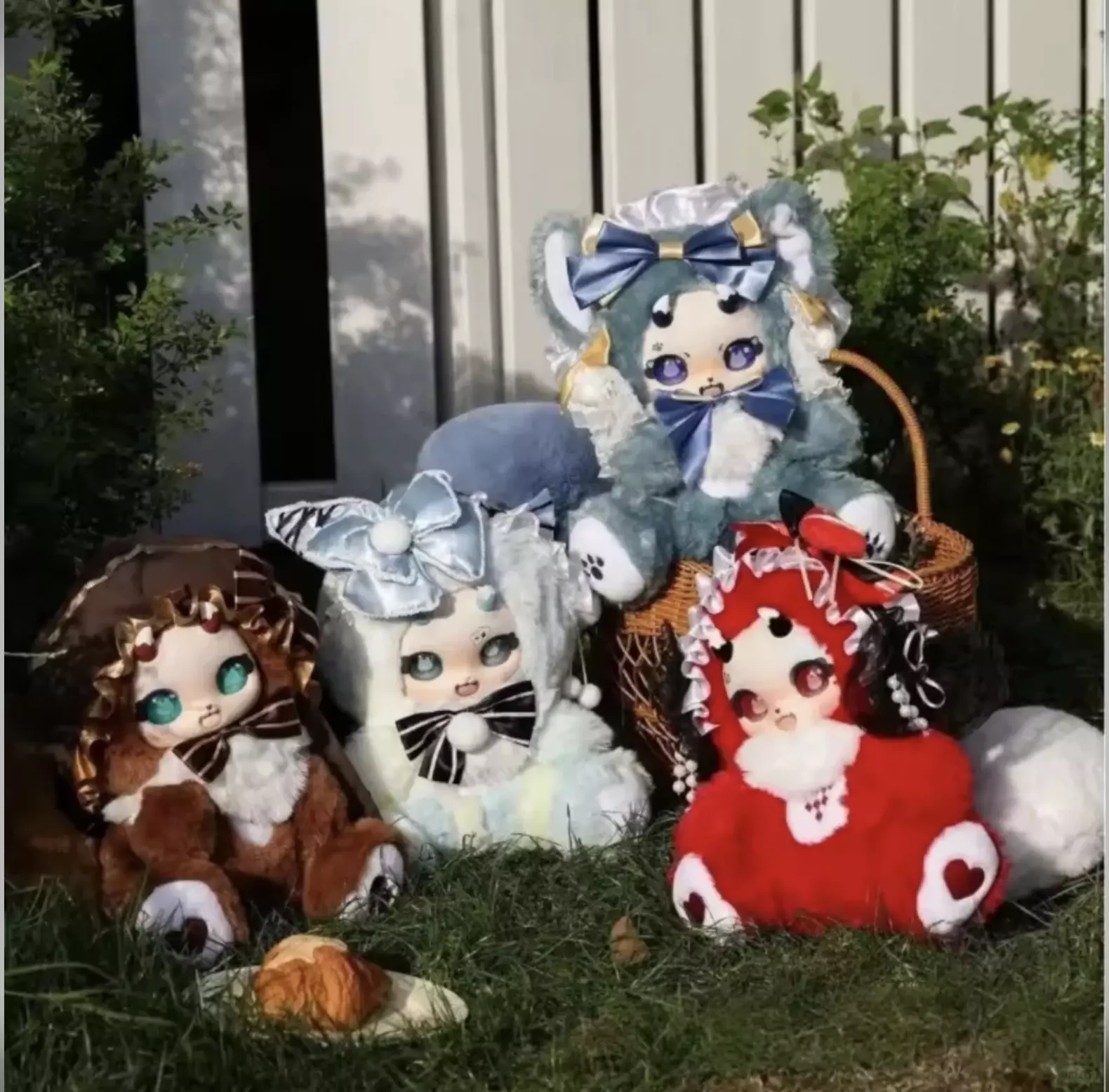 plant/1Box 500Boboco Ellie Cat-0