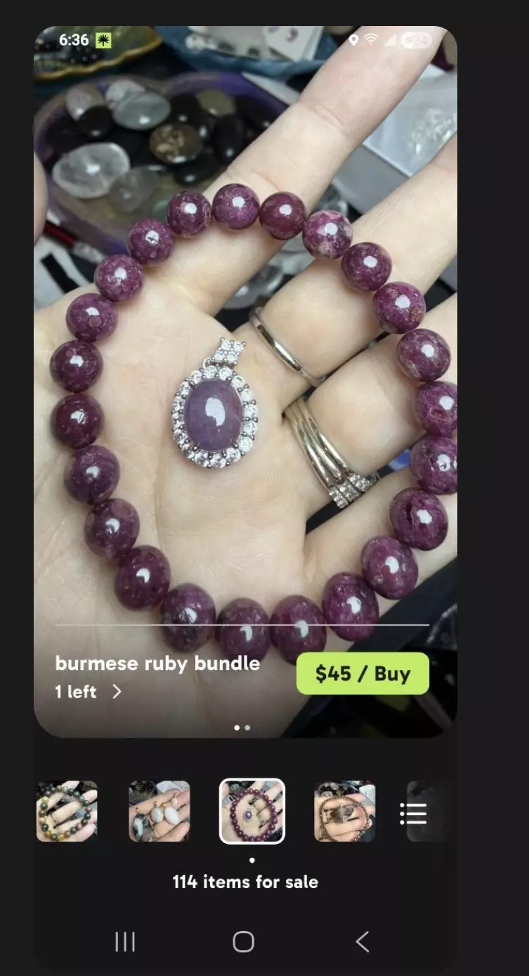 plant/stephie - use 30% off-0