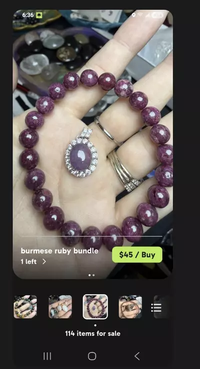 plant/stephie - use 30% off-0-thumbnail