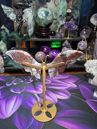 plant/Crazy Lace Agate dragonfly wings with custom holder hand carved-2-thumbnail