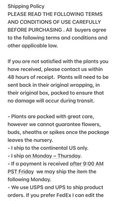 plant/Exotic Vanda Orchid - Sedenfadenia Mitrata x Vanda Lamellata  mature plant-3-thumbnail