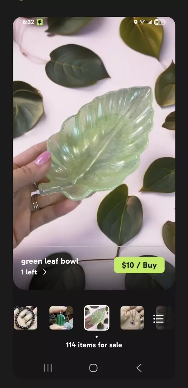 plant/bundle for Stephie-1