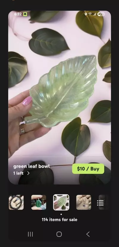 plant/bundle for Stephie-1-thumbnail