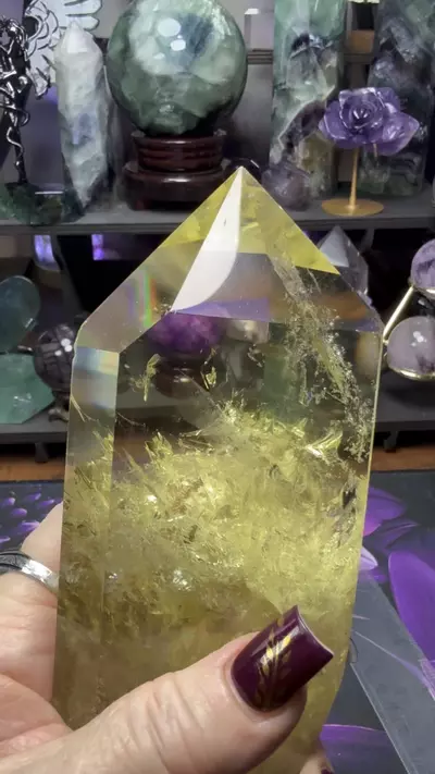plant/Citrine point quartz w/custom holder-2-thumbnail