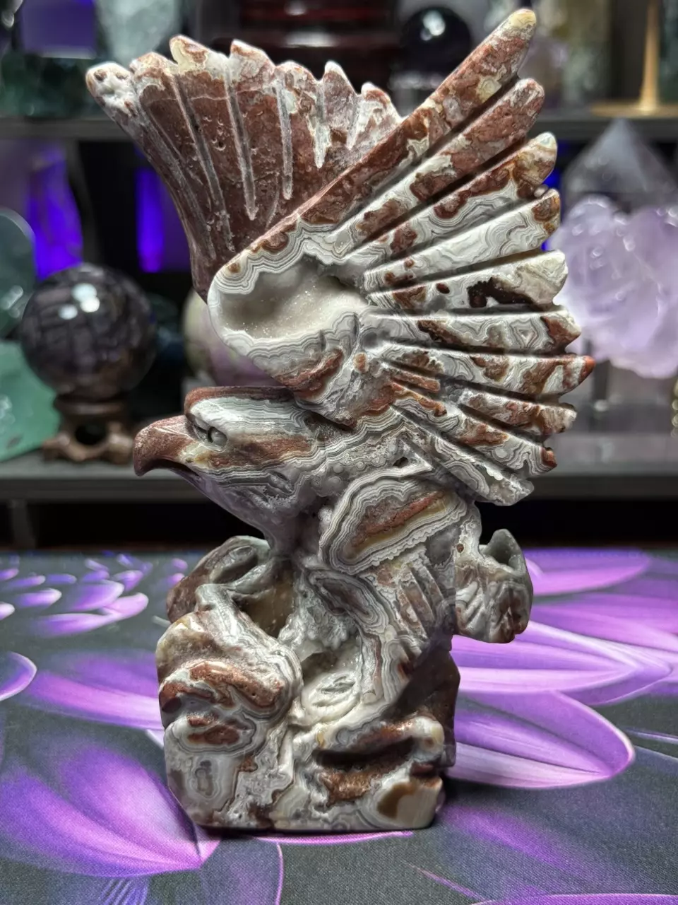 plant/Crazy Lace Agate carved eagle-0