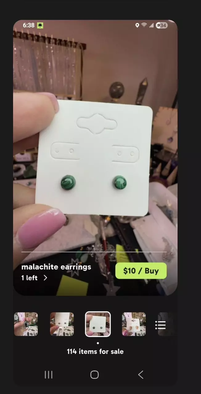 plant/stephie - use 25% off-1