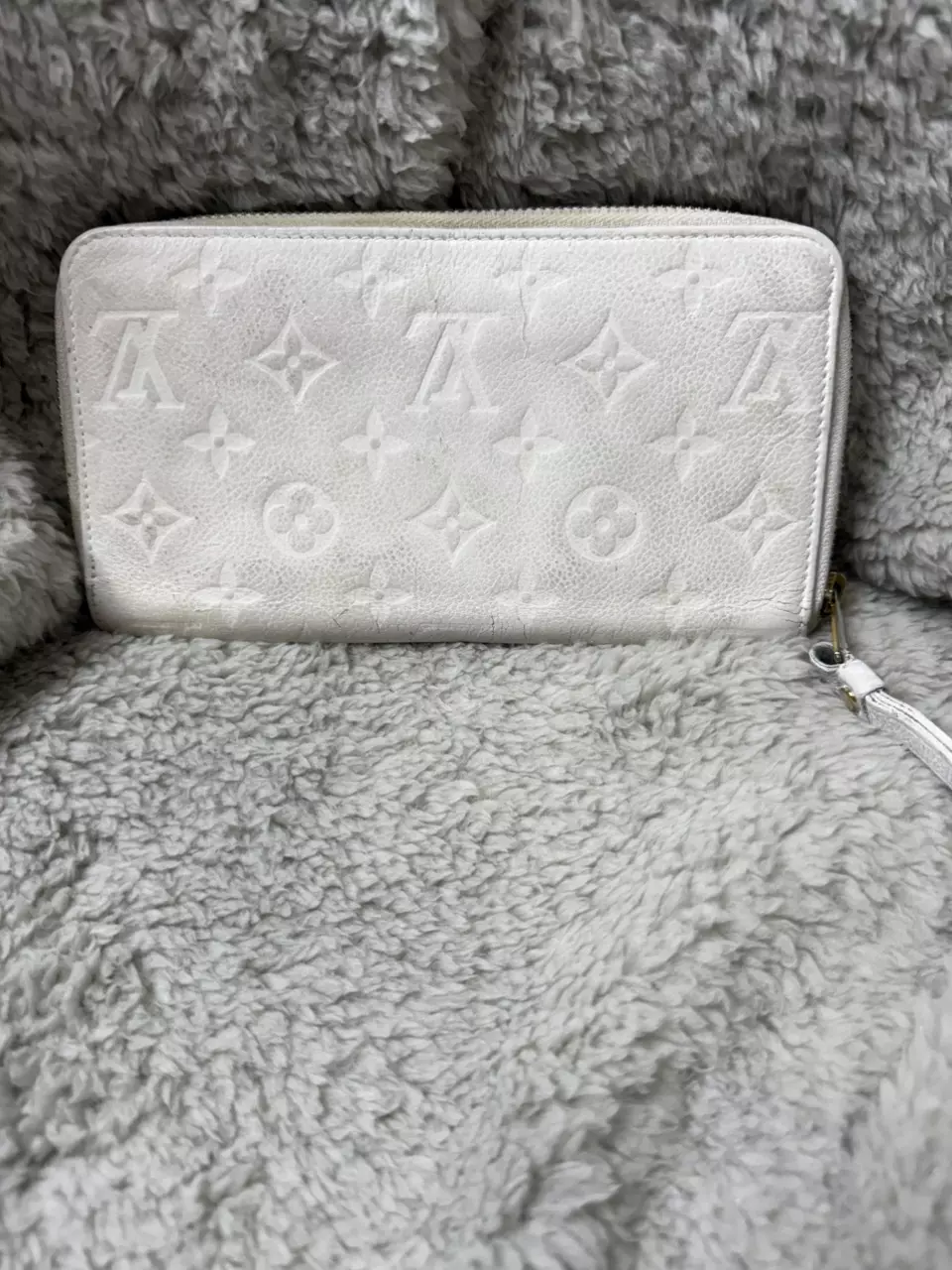 plant/Louis Vuitton EMPRIENTE insolite wallet-0