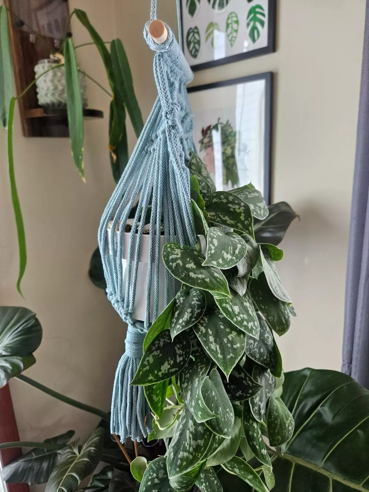 plant/5mm vine pattern macrame plant hanger in stock-2